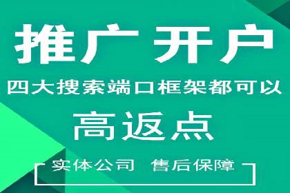 SEM优化技巧：实战案例深度剖析